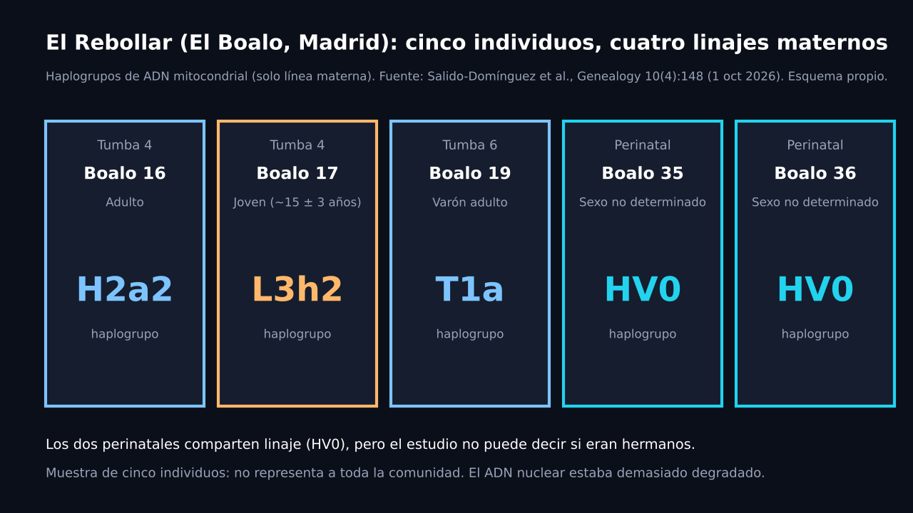 Esquema de cinco tarjetas: Boalo 16 (tumba 4, adulto) H2a2; Boalo 17 (tumba 4, joven de unos 15 años) L3h2; Boalo 19 (tumba 6, varón adulto) T1a; Boalo 35 y Boalo 36 (perinatales) HV0